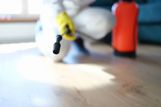 Milpitas, CA Mold Removal Company