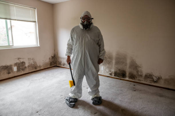 Best Residential Mold Inspection & Testing  in Milpitas, CA
