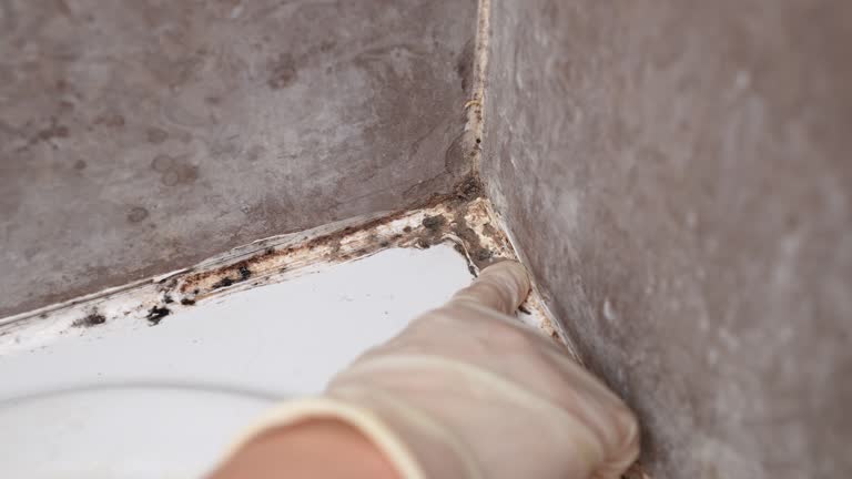 Best Post-Remediation Verification Testing  in Milpitas, CA